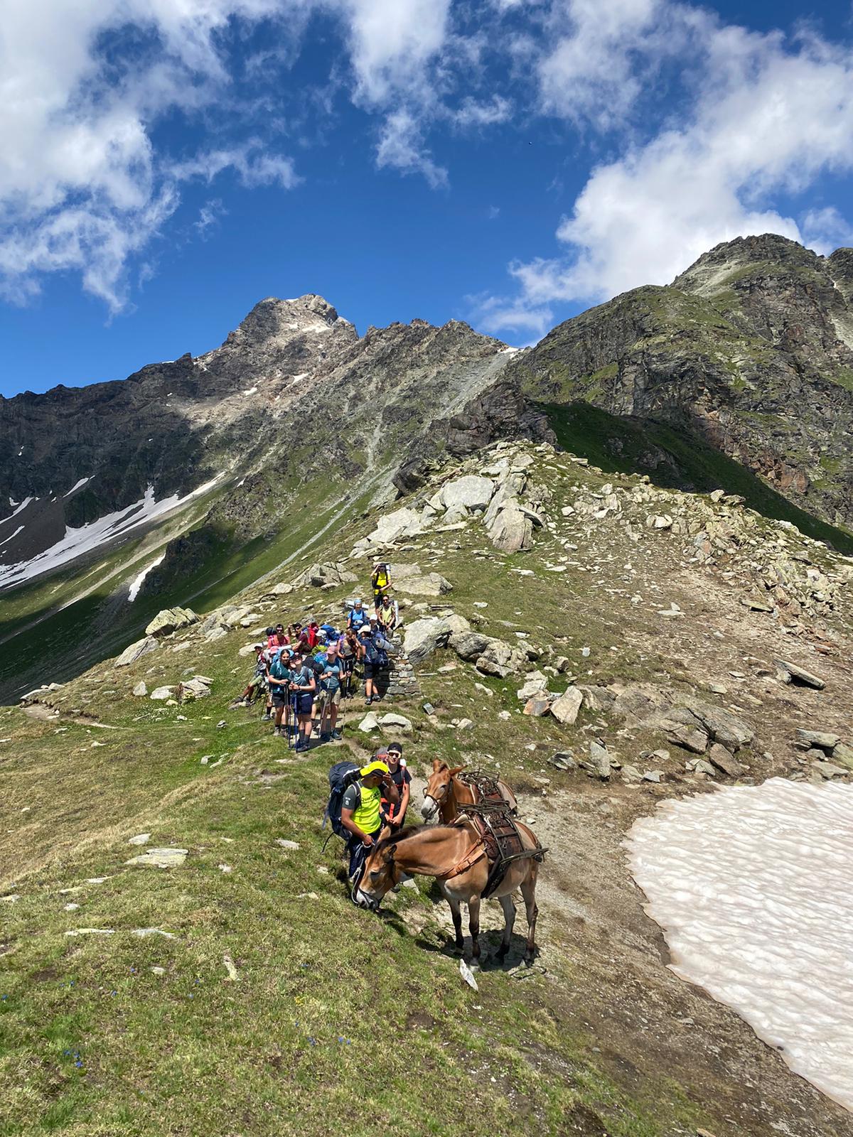 TREK MULE ALPS - TREKKING IN VALLE D'AOSTA 004