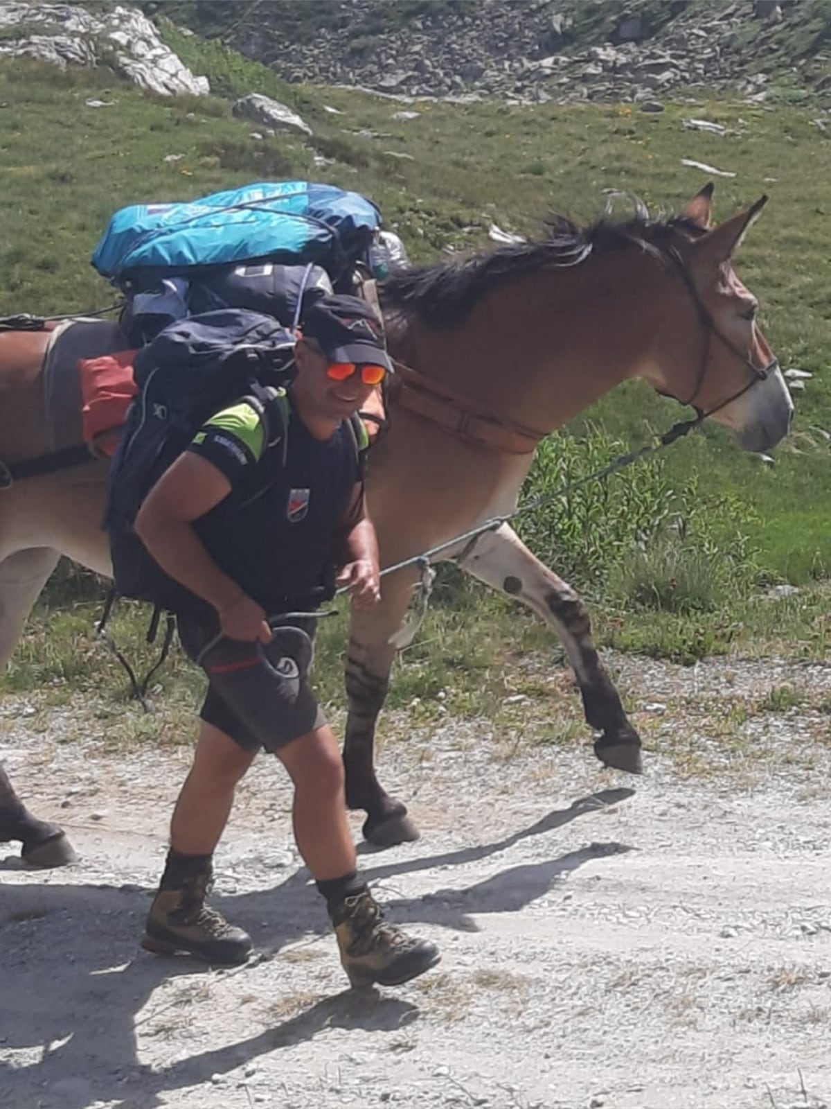TREK MULE ALPS - TREKKING IN VALLE D'AOSTA 012 staff